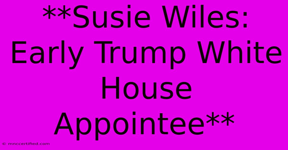 **Susie Wiles: Early Trump White House Appointee** 