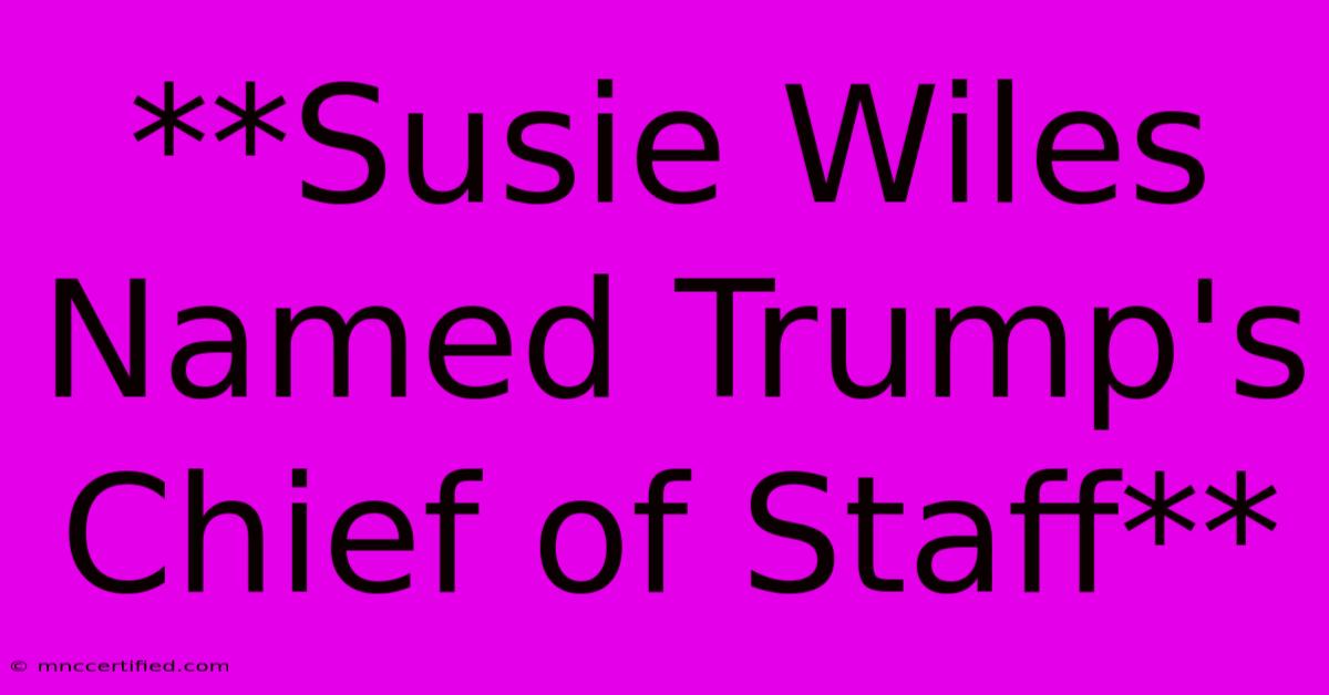 **Susie Wiles Named Trump's Chief Of Staff**