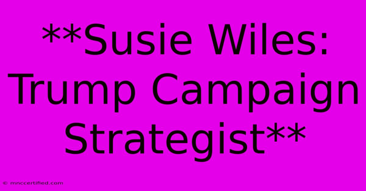 **Susie Wiles: Trump Campaign Strategist**