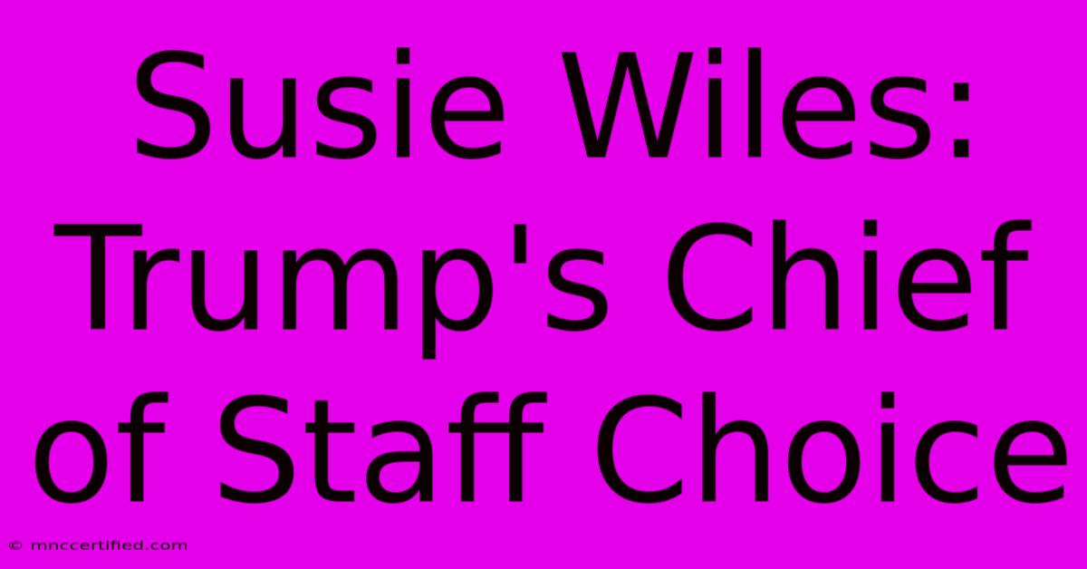 Susie Wiles: Trump's Chief Of Staff Choice 