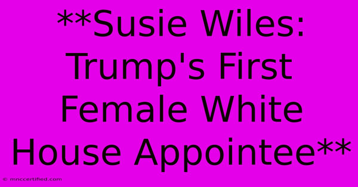 **Susie Wiles: Trump's First Female White House Appointee**