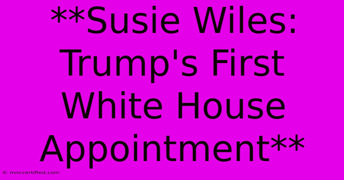 **Susie Wiles: Trump's First White House Appointment**