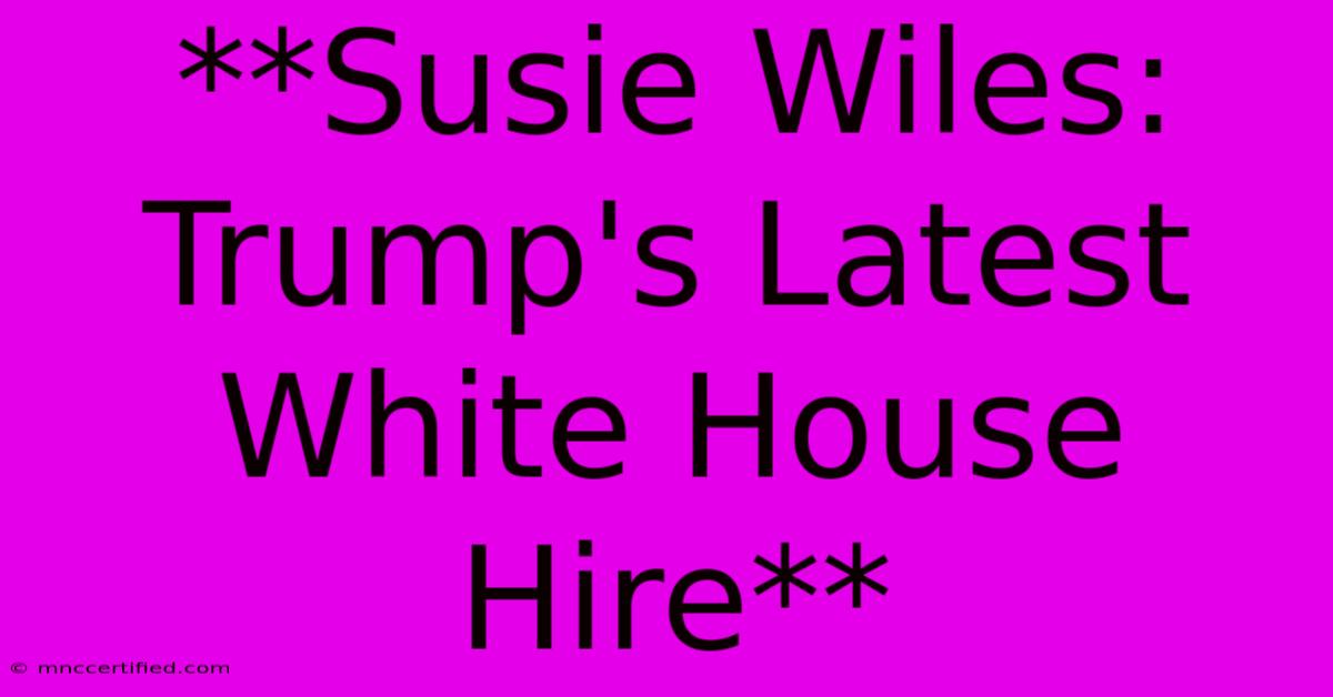 **Susie Wiles: Trump's Latest White House Hire**