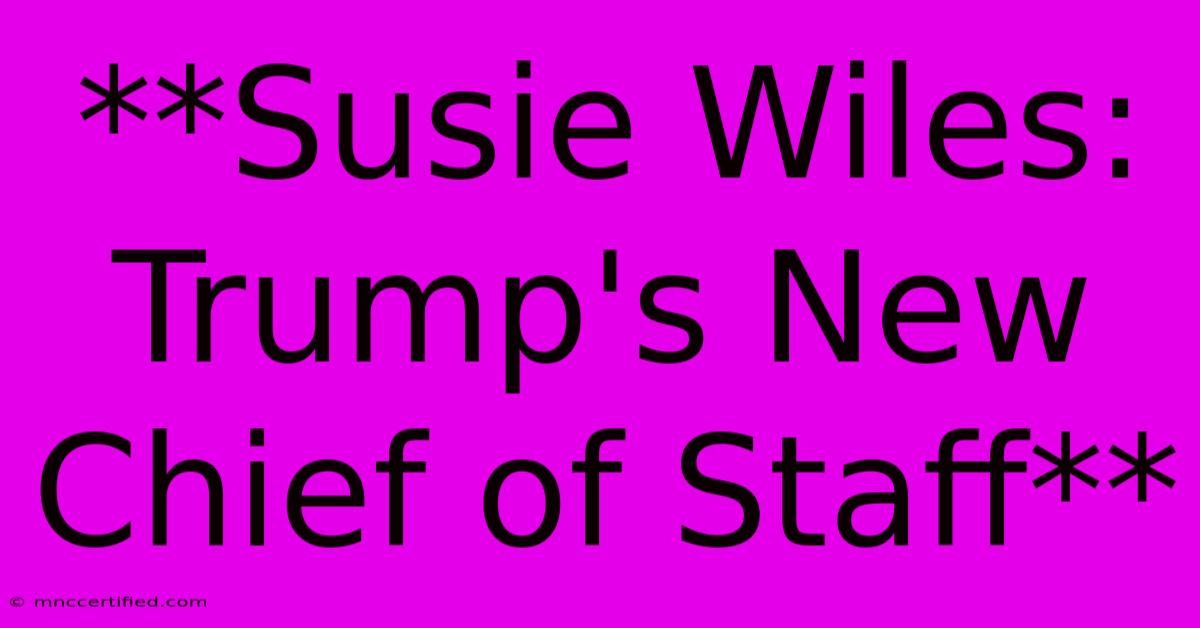 **Susie Wiles: Trump's New Chief Of Staff**