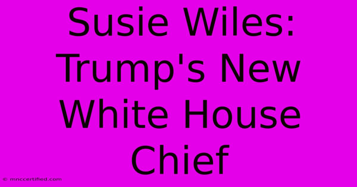 Susie Wiles: Trump's New White House Chief