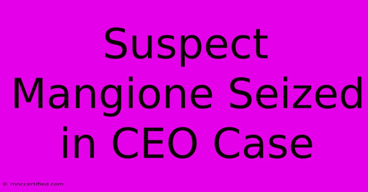 Suspect Mangione Seized In CEO Case