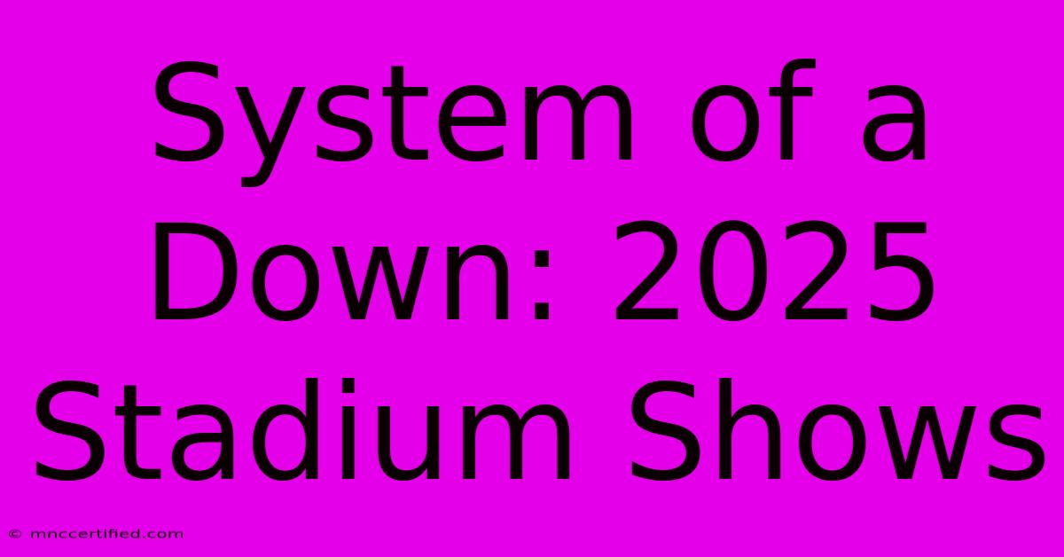 System Of A Down: 2025 Stadium Shows