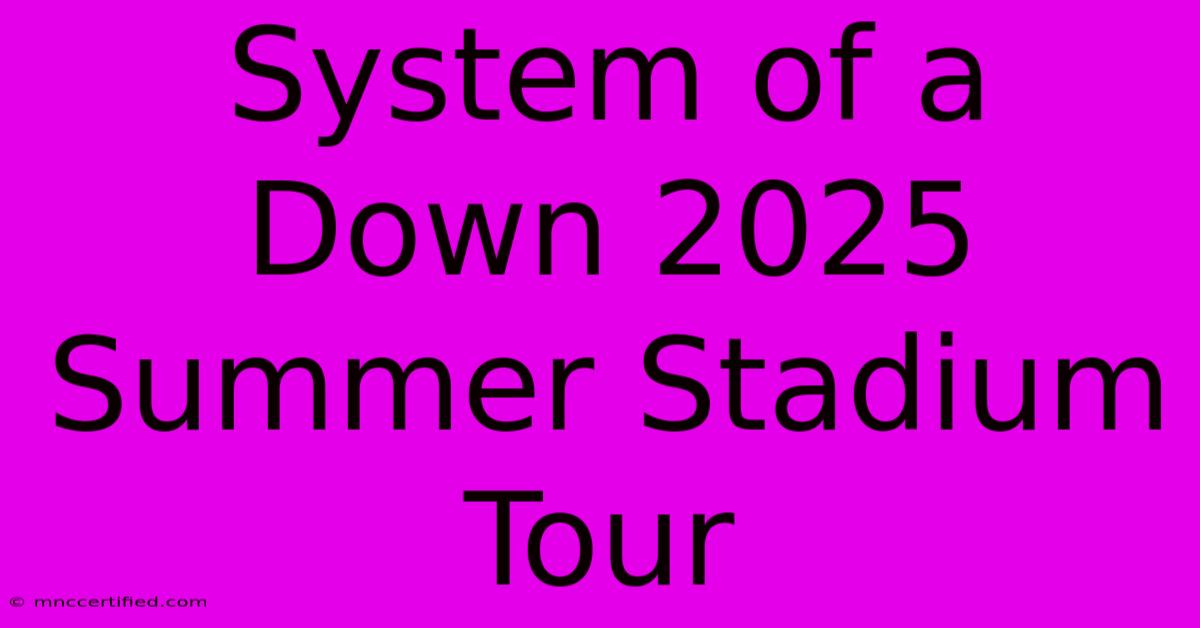 System Of A Down 2025 Summer Stadium Tour