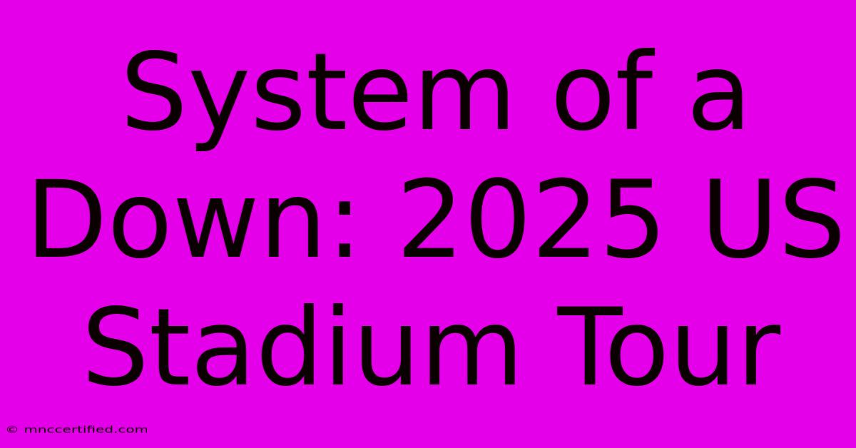 System Of A Down: 2025 US Stadium Tour