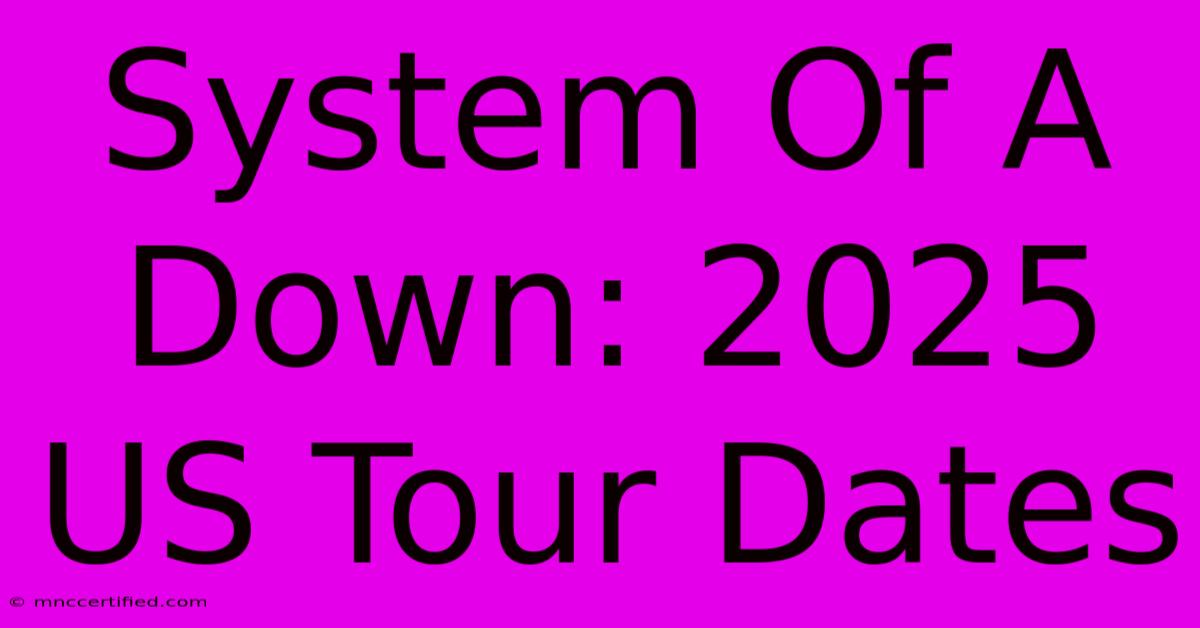 System Of A Down: 2025 US Tour Dates