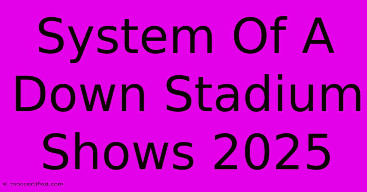 System Of A Down Stadium Shows 2025