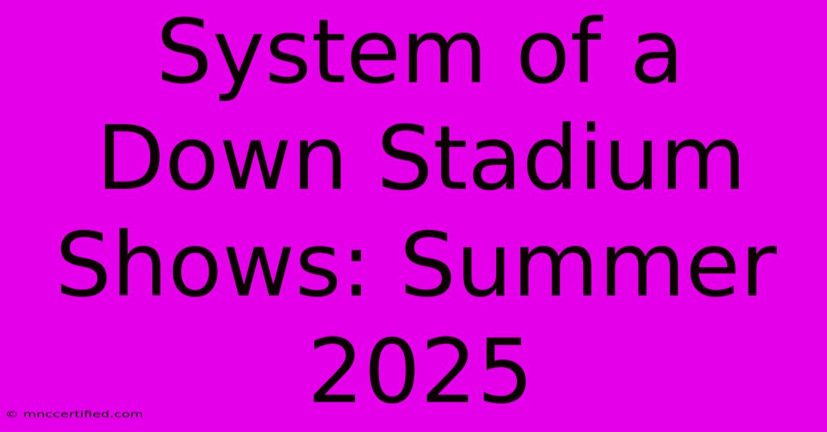 System Of A Down Stadium Shows: Summer 2025