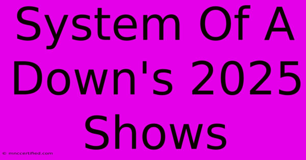 System Of A Down's 2025 Shows