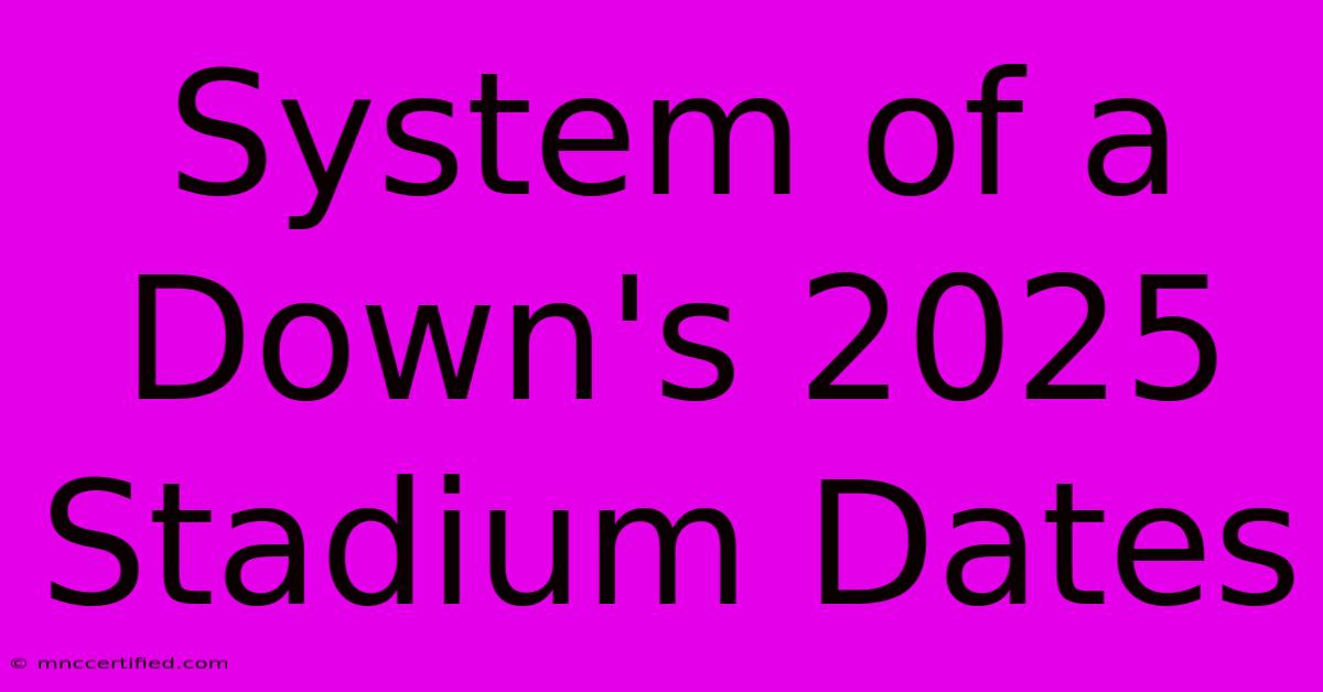 System Of A Down's 2025 Stadium Dates