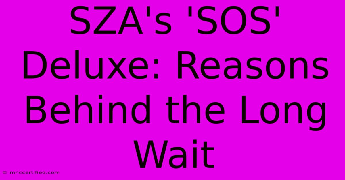 SZA's 'SOS' Deluxe: Reasons Behind The Long Wait