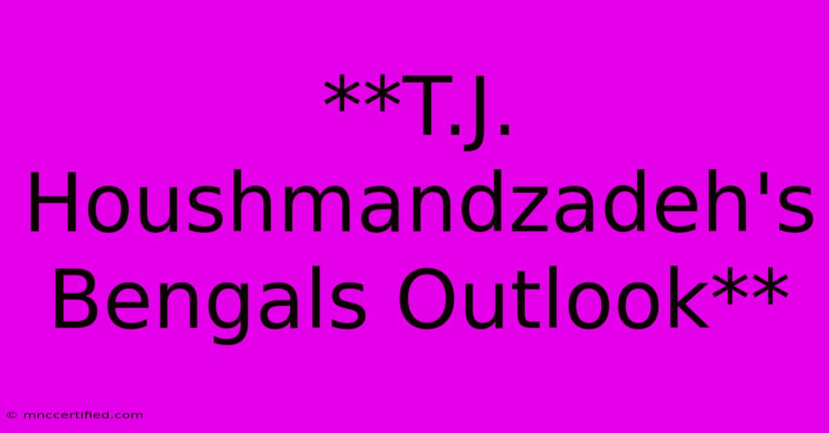 **T.J. Houshmandzadeh's Bengals Outlook**