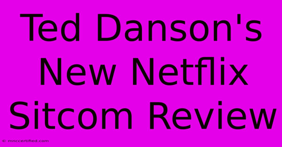 Ted Danson's New Netflix Sitcom Review