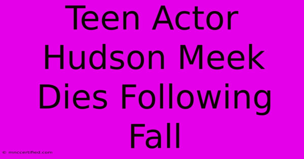 Teen Actor Hudson Meek Dies Following Fall