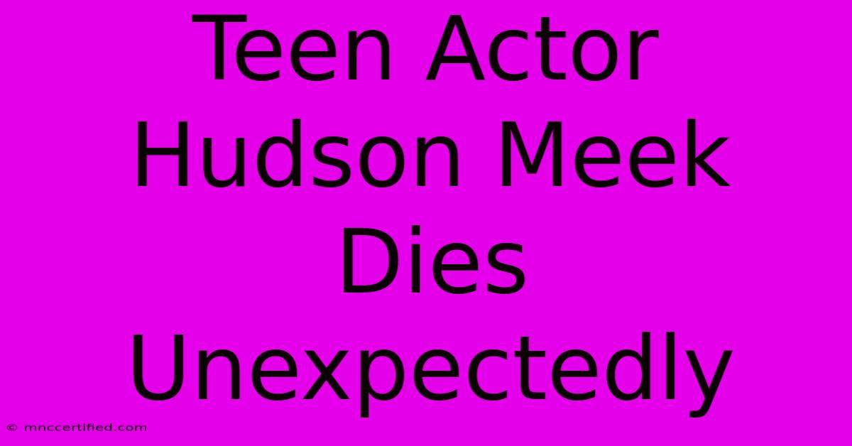 Teen Actor Hudson Meek Dies Unexpectedly