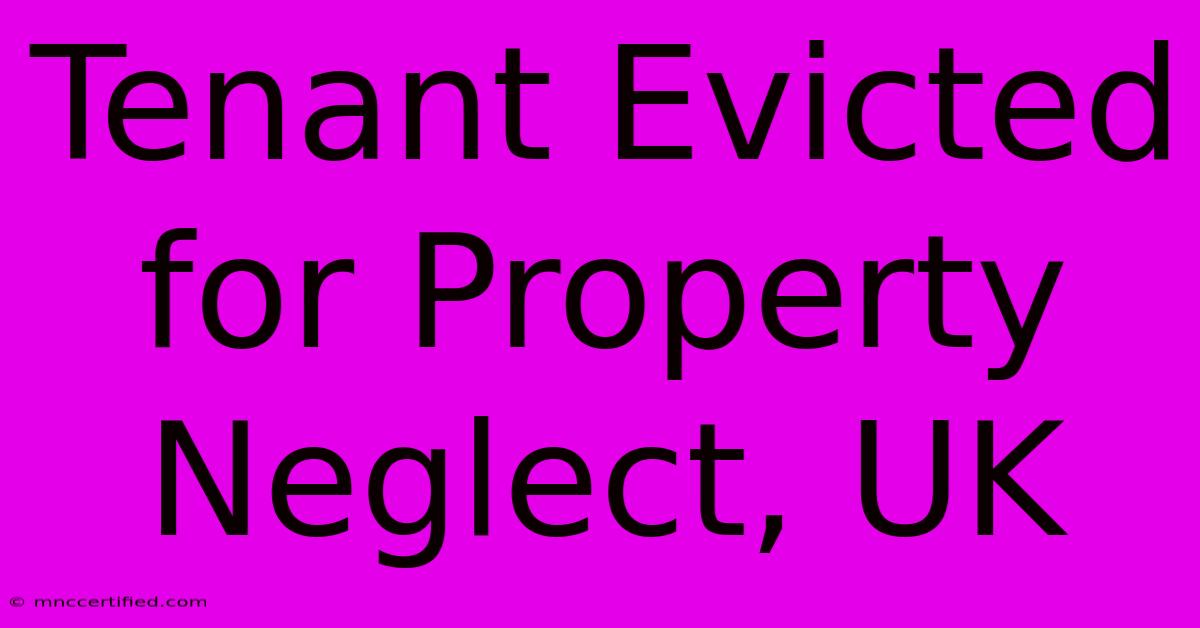 Tenant Evicted For Property Neglect, UK