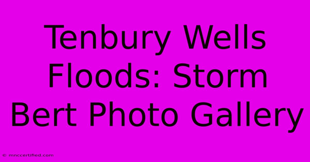 Tenbury Wells Floods: Storm Bert Photo Gallery