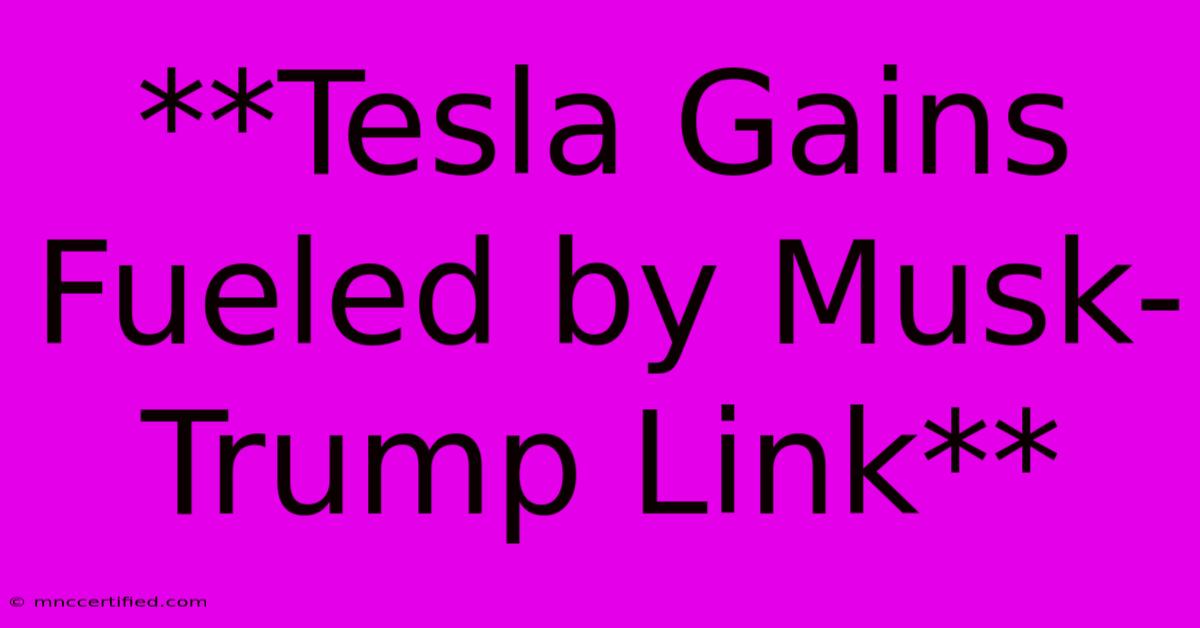 **Tesla Gains Fueled By Musk-Trump Link**