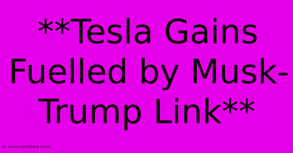 **Tesla Gains Fuelled By Musk-Trump Link**