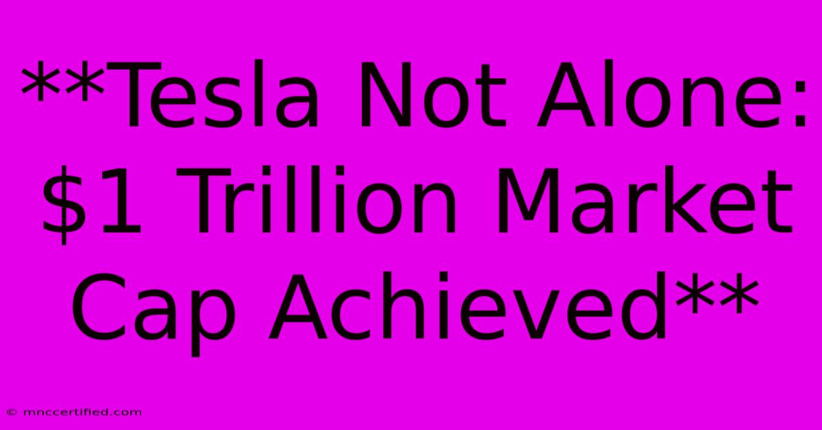 **Tesla Not Alone: $1 Trillion Market Cap Achieved**