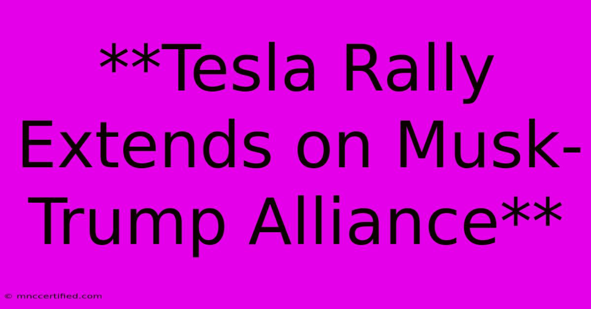 **Tesla Rally Extends On Musk-Trump Alliance** 