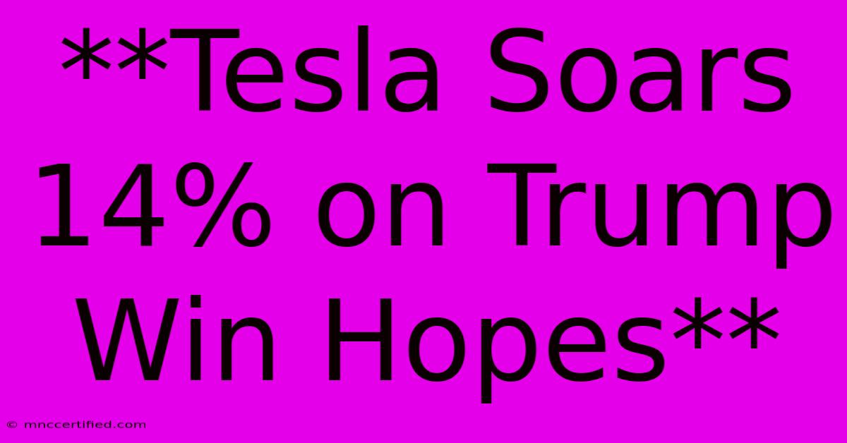 **Tesla Soars 14% On Trump Win Hopes**