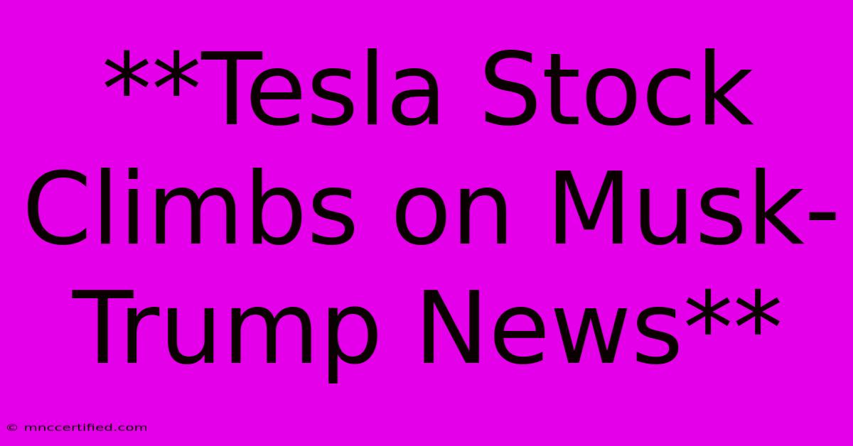 **Tesla Stock Climbs On Musk-Trump News**