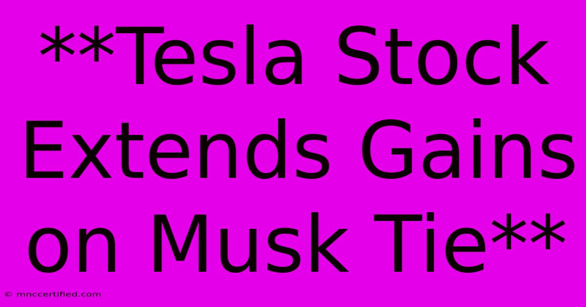 **Tesla Stock Extends Gains On Musk Tie** 