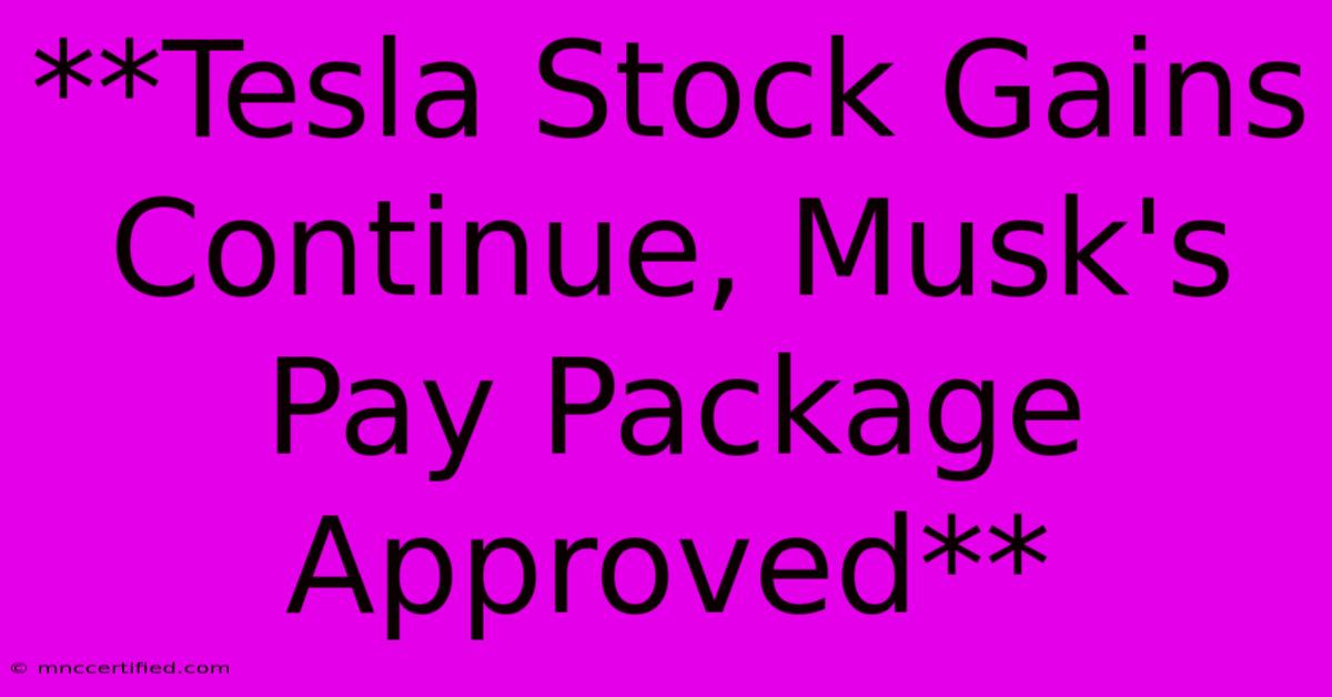 **Tesla Stock Gains Continue, Musk's Pay Package Approved**