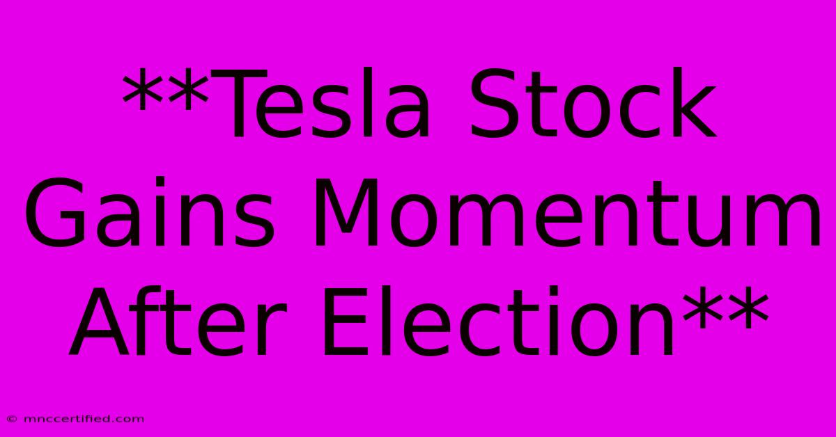 **Tesla Stock Gains Momentum After Election**