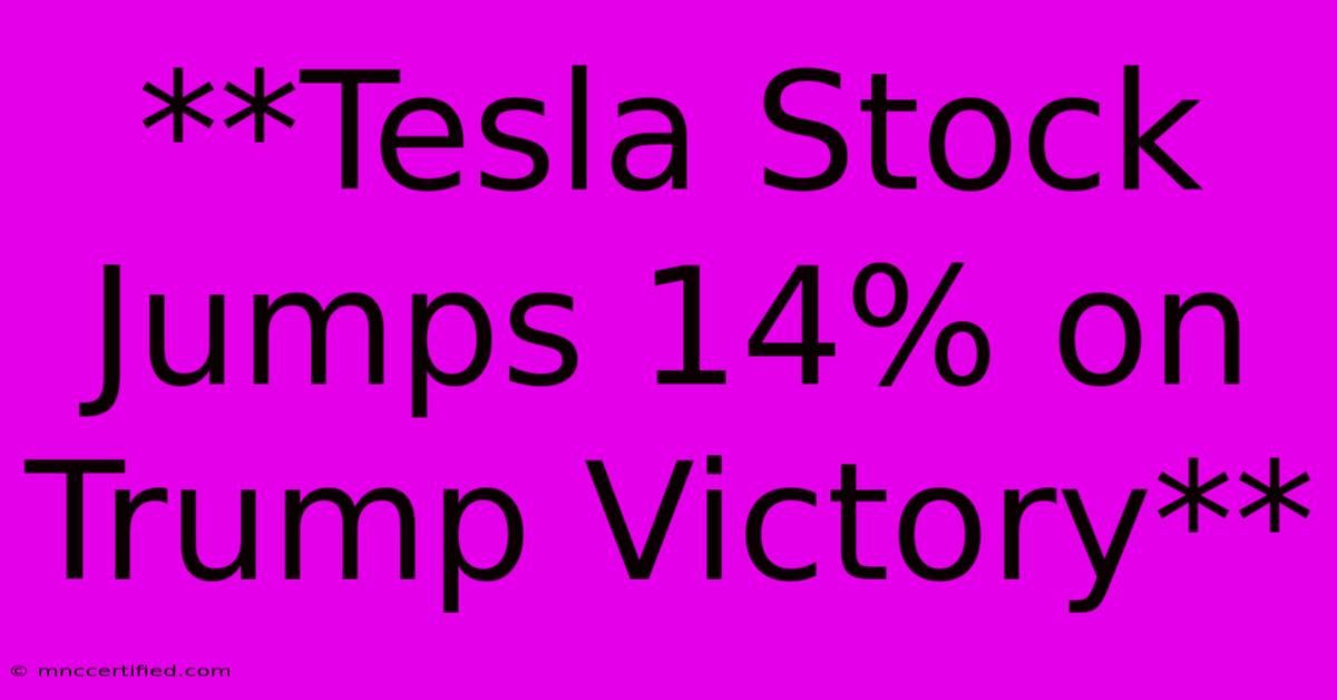 **Tesla Stock Jumps 14% On Trump Victory**