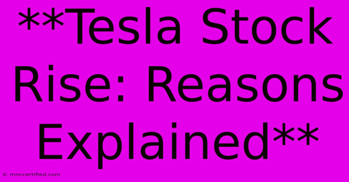 **Tesla Stock Rise: Reasons Explained**