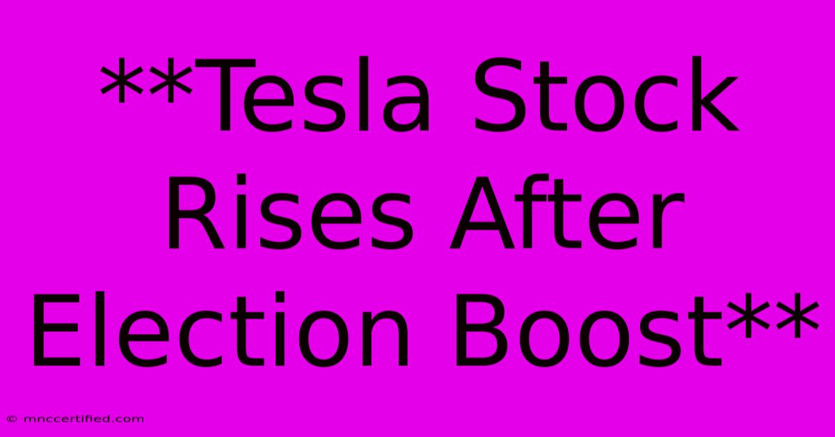 **Tesla Stock Rises After Election Boost**