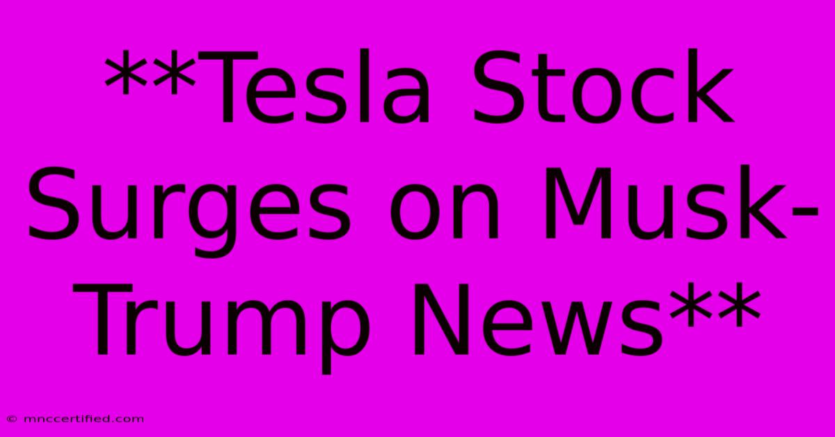 **Tesla Stock Surges On Musk-Trump News**