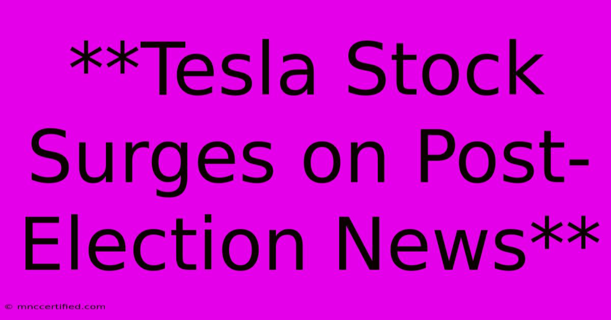 **Tesla Stock Surges On Post-Election News**