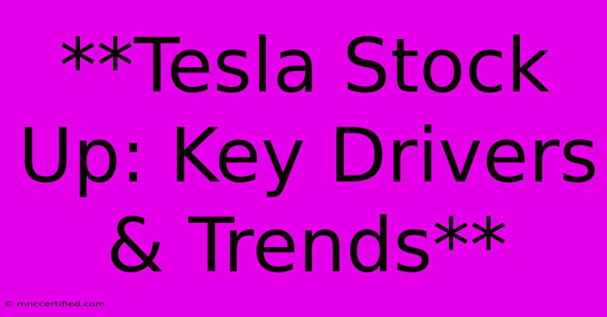 **Tesla Stock Up: Key Drivers & Trends**