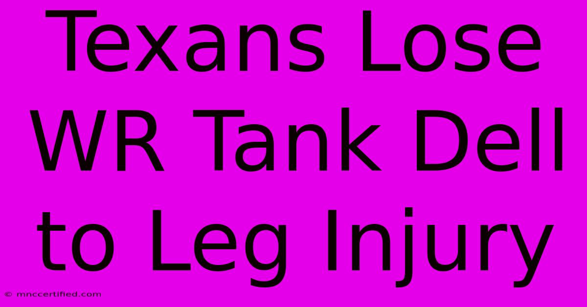 Texans Lose WR Tank Dell To Leg Injury