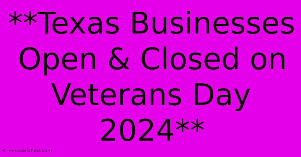 **Texas Businesses Open & Closed On Veterans Day 2024**