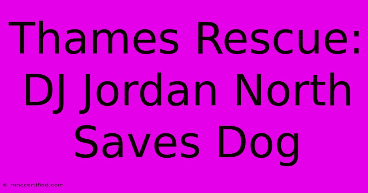 Thames Rescue: DJ Jordan North Saves Dog