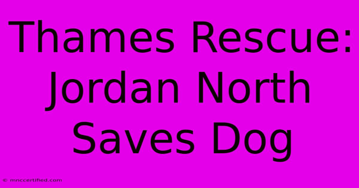 Thames Rescue: Jordan North Saves Dog