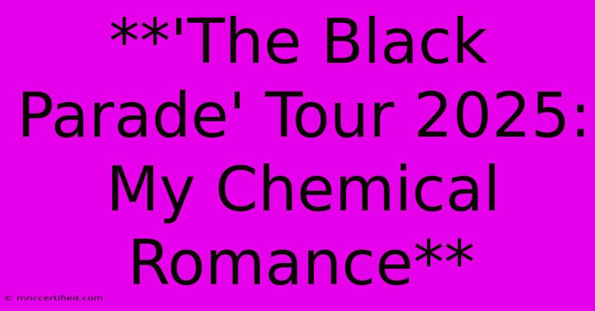 **'The Black Parade' Tour 2025: My Chemical Romance**