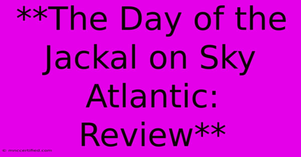 **The Day Of The Jackal On Sky Atlantic: Review**