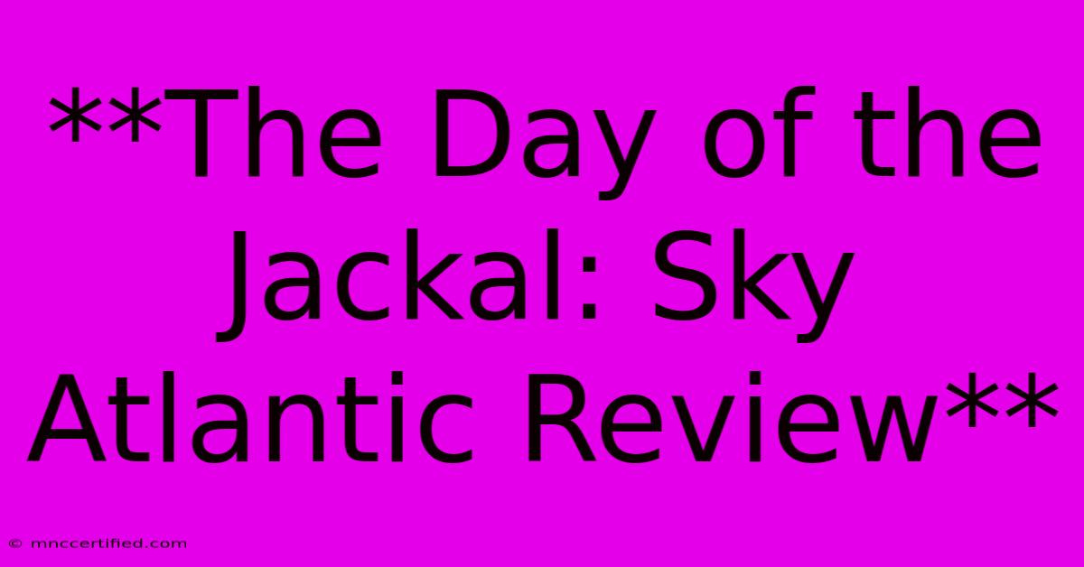 **The Day Of The Jackal: Sky Atlantic Review**