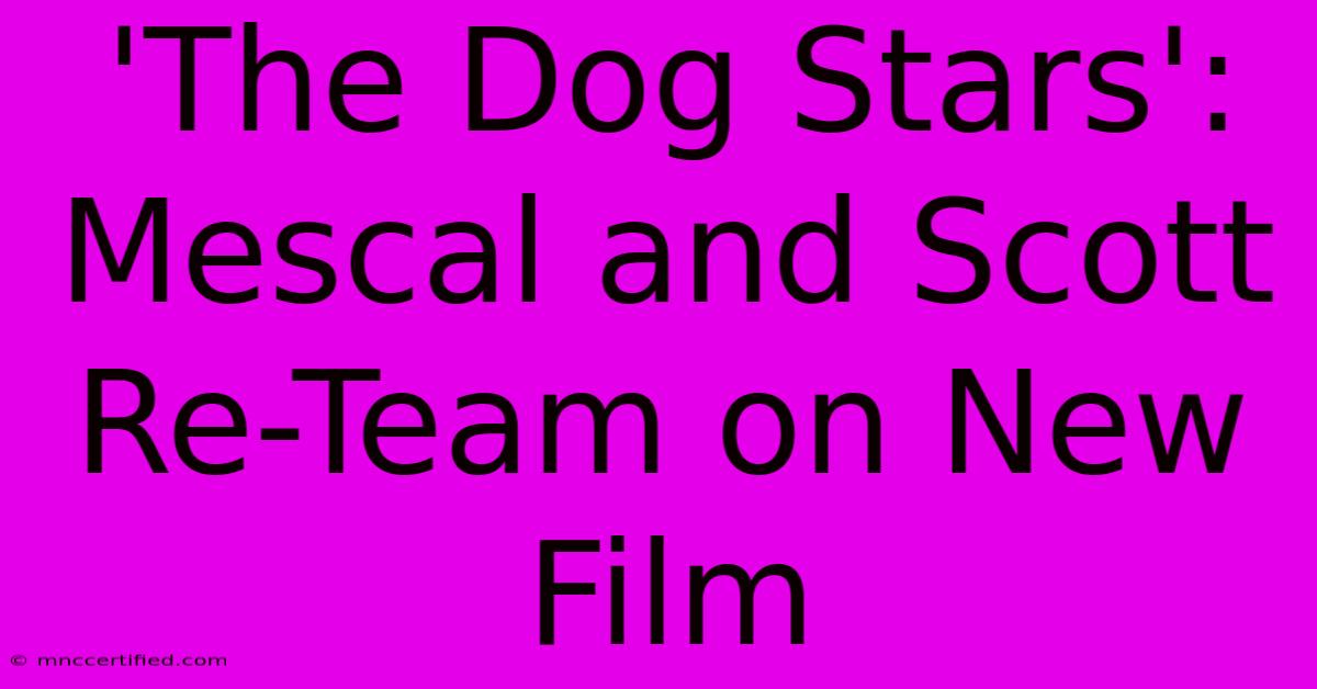 'The Dog Stars': Mescal And Scott Re-Team On New Film 