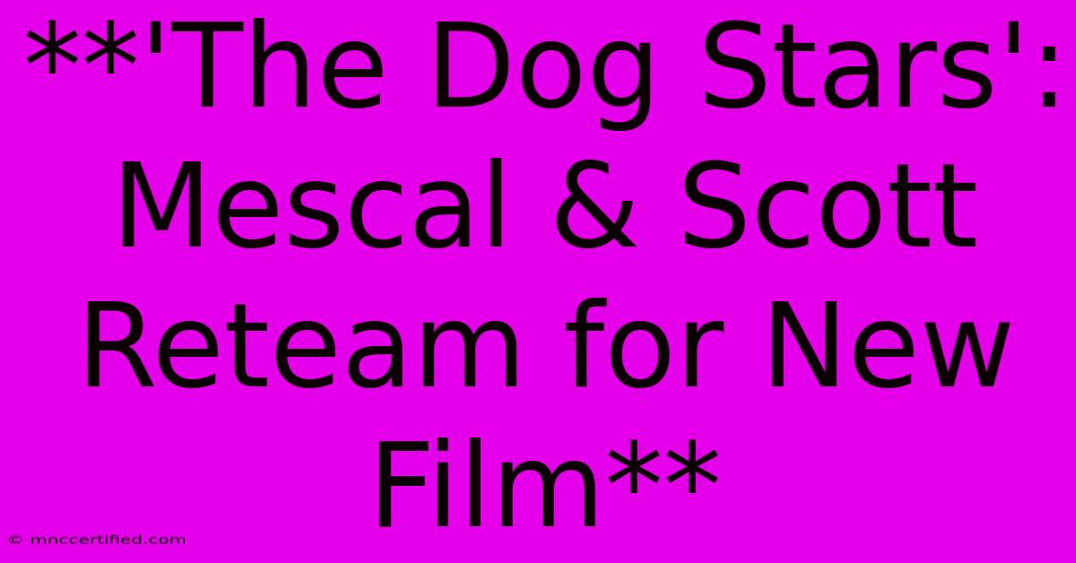 **'The Dog Stars': Mescal & Scott Reteam For New Film** 