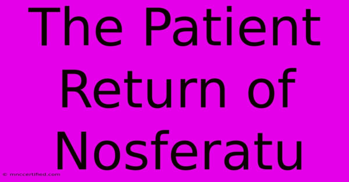 The Patient Return Of Nosferatu